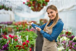 Home Selectie van tuinbenodigdheden in een Belgisch tuincentrum met planten, gereedschap en accessoires